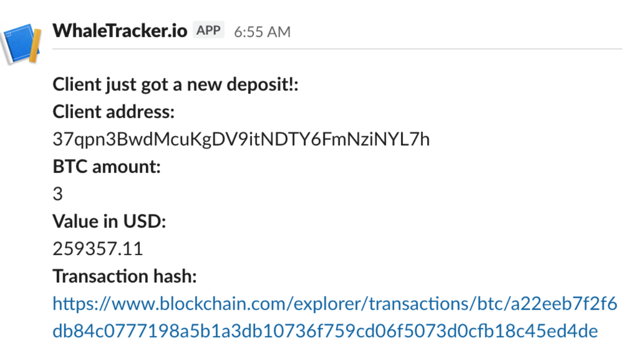 Slack alert from WhaleTracker.io showing a new client BTC deposit with wallet address, amount, USD value and transaction hash